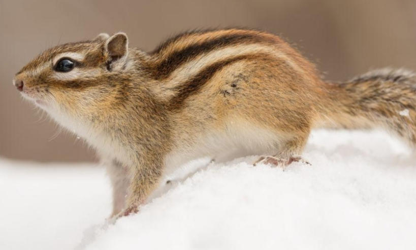 聊城市光旭管业有限公司轮播图3